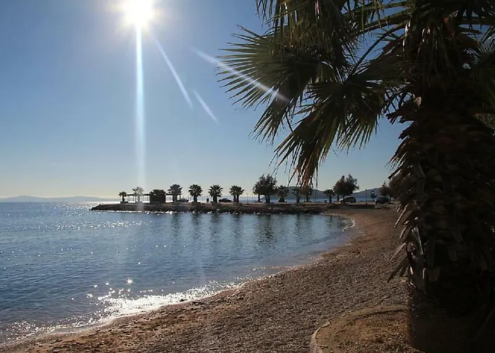 Apartment Aspalathos Centar Holiday Home Split - City Center, A Few Minutes' Walking Distance To The Unesco Palace, Parking Lot In Front Of The Apartment Lägenhet